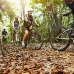 People cycling through some woods