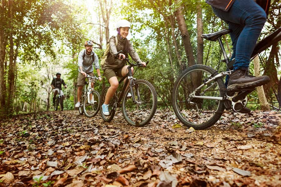 People cycling through some woods