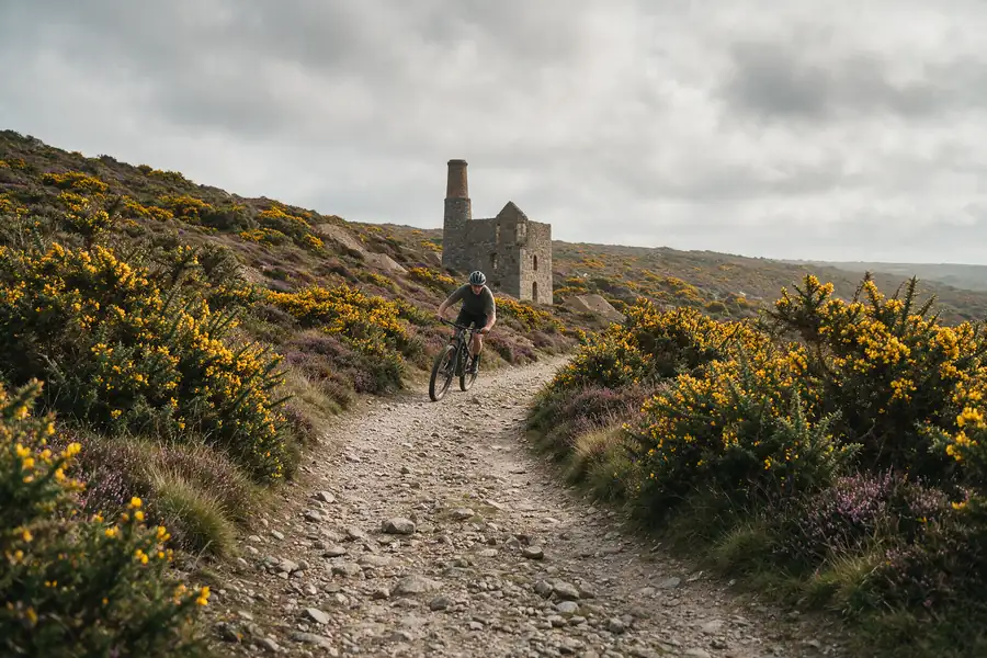 A gravel track winding through gorse and heather with a rider in the distance