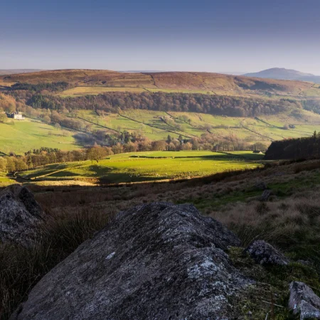 A view over a lush valley